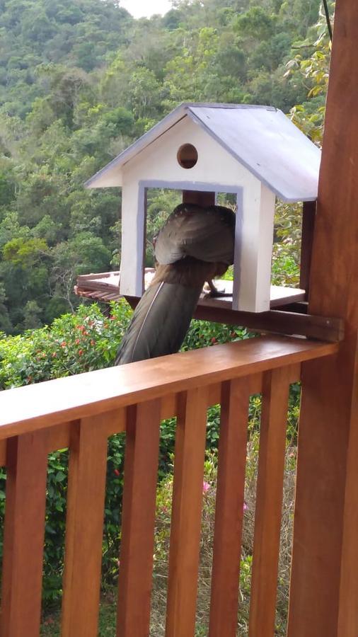 Casa Sossego Da Montanha Villa Visconde De Maua Exterior foto