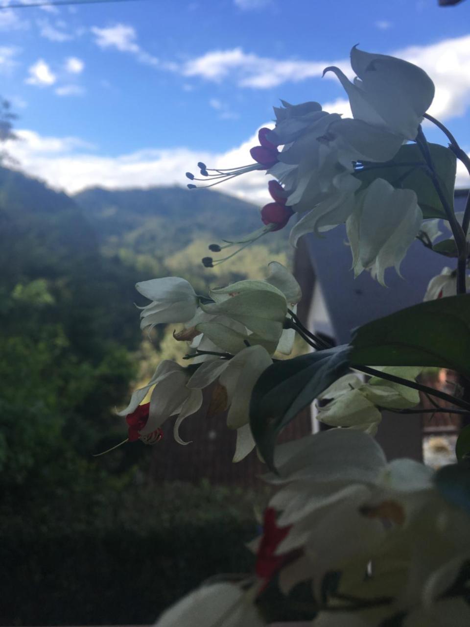 Casa Sossego Da Montanha Villa Visconde De Maua Exterior foto